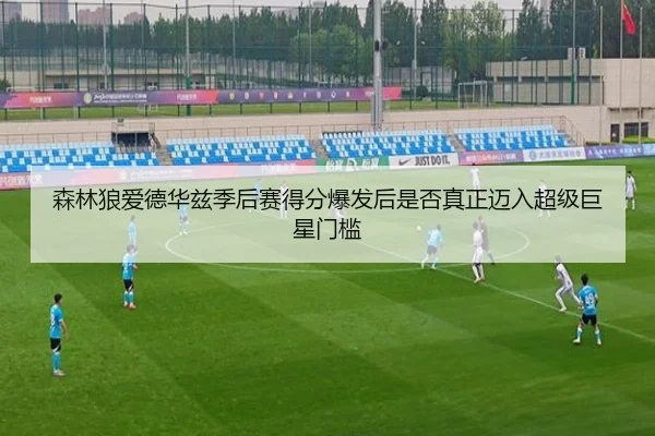 森林狼爱德华兹季后赛得分爆发后是否真正迈入超级巨星门槛