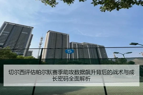 切尔西评估帕尔默赛季助攻数据飙升背后的战术与成长密码全面解析